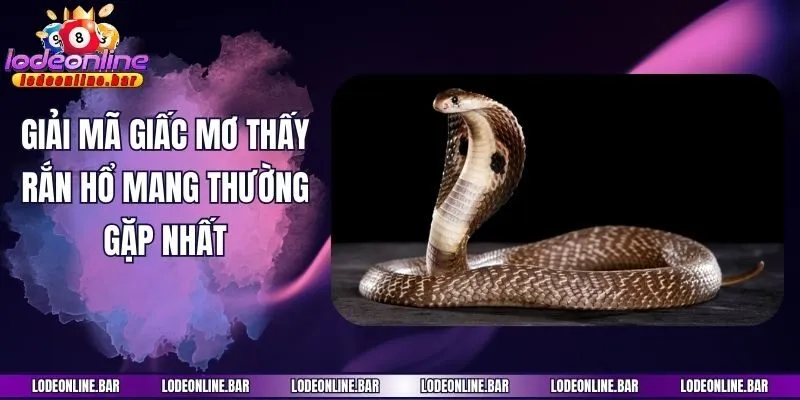 Giải mã giấc mơ thấy rắn hổ mang thường gặp nhất